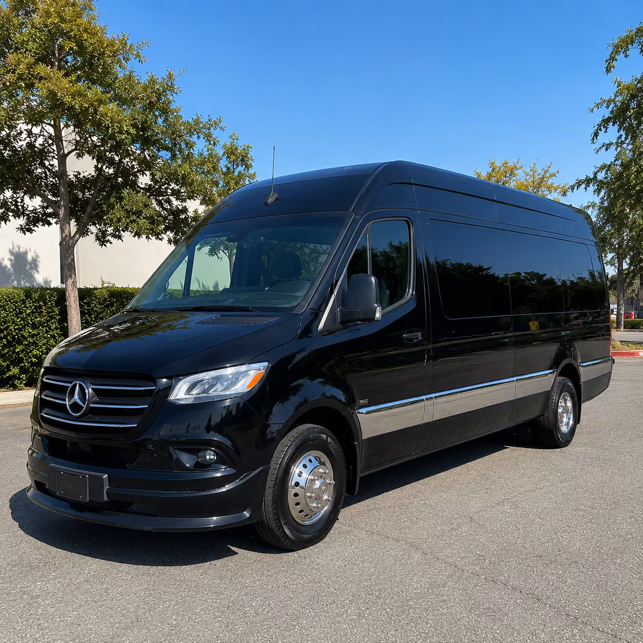14 Passenger Sprinter Limo Exterior