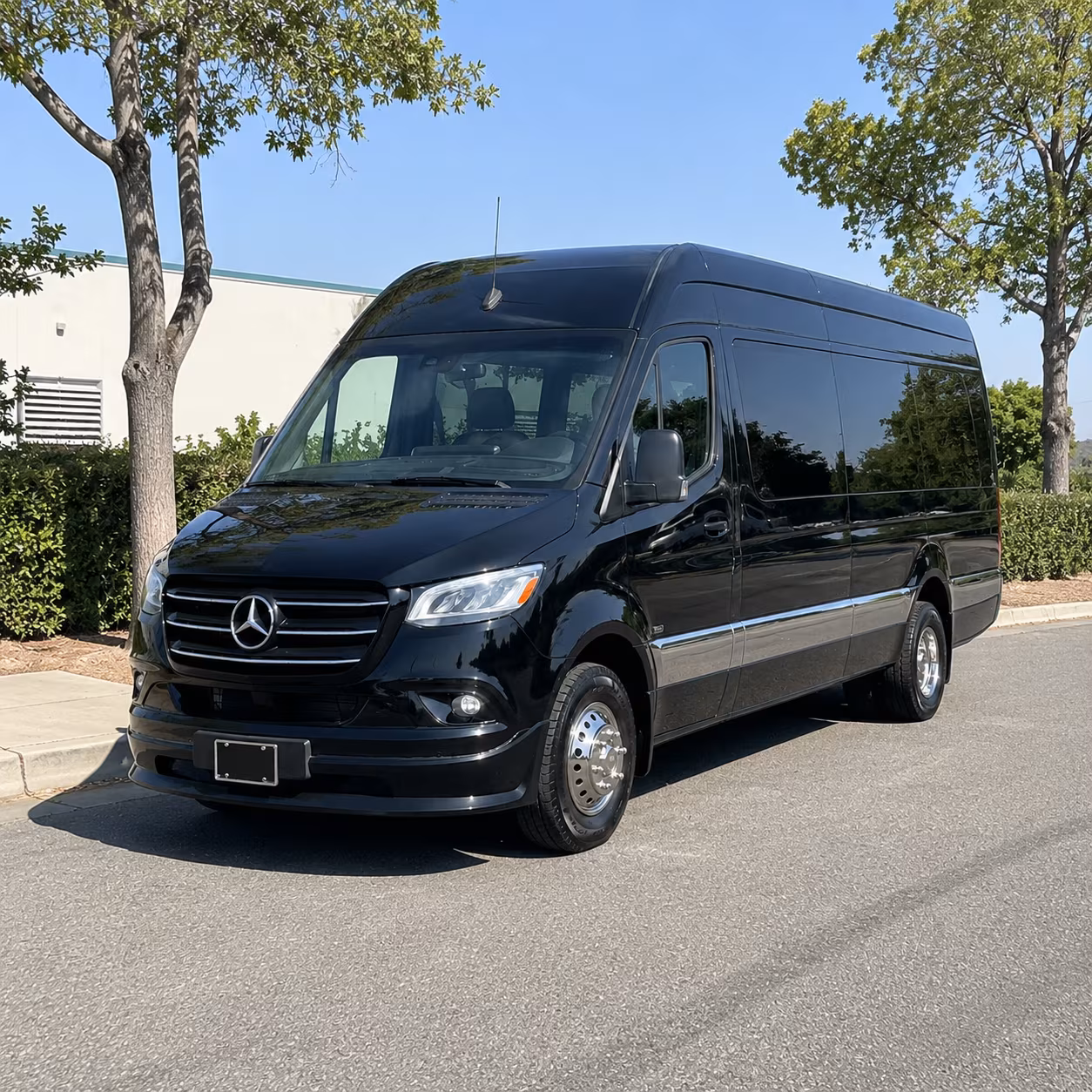 Sprinter Van Rental with Driver Exterior