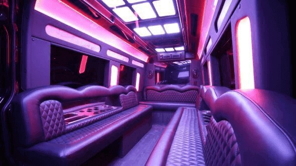 palm bay 18 passenger party bus interior